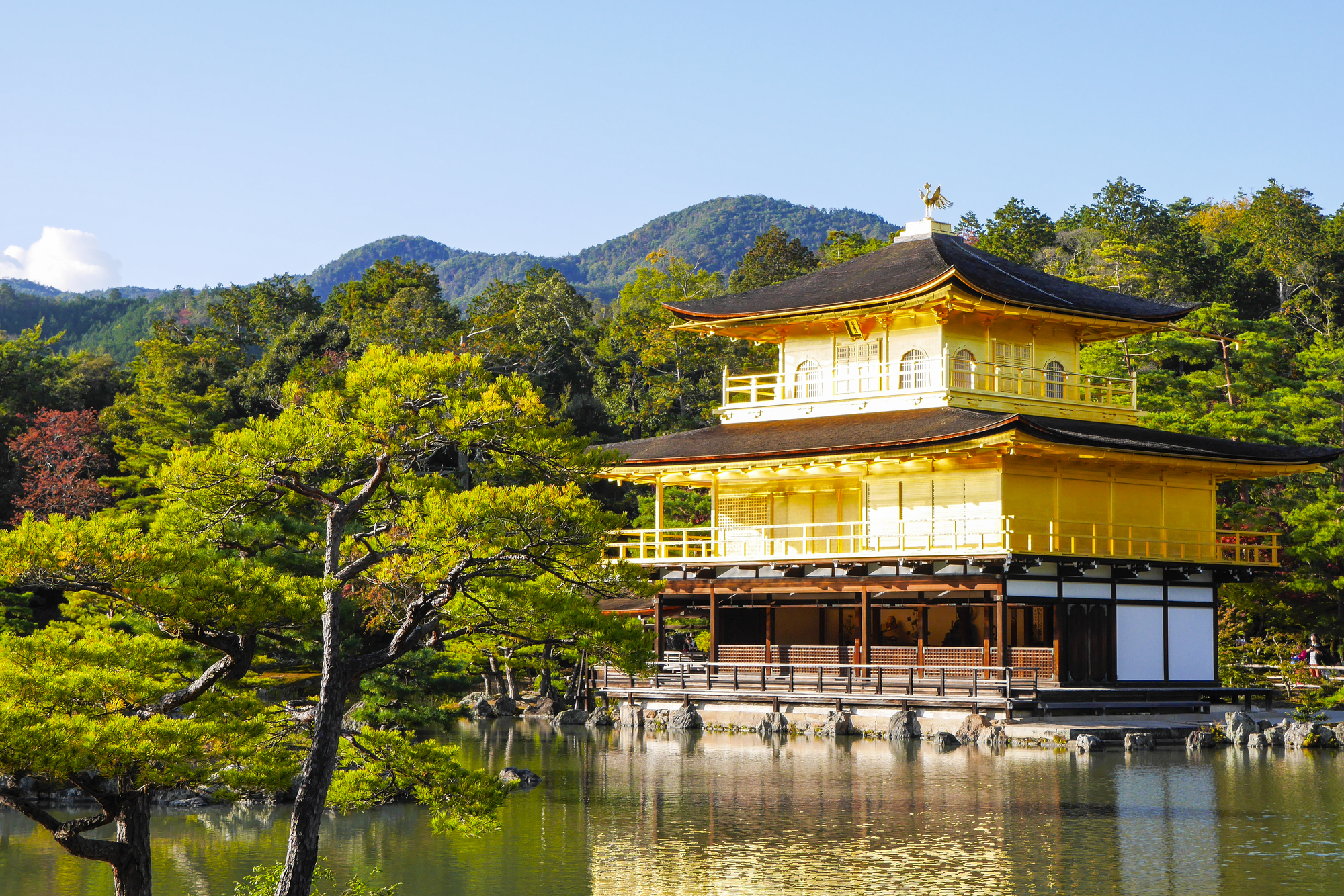 京都市北区