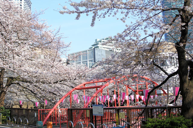 池尻大橋駅