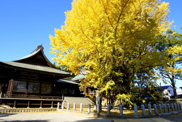 京成八幡駅