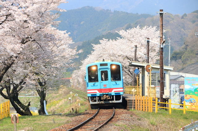 木知原駅