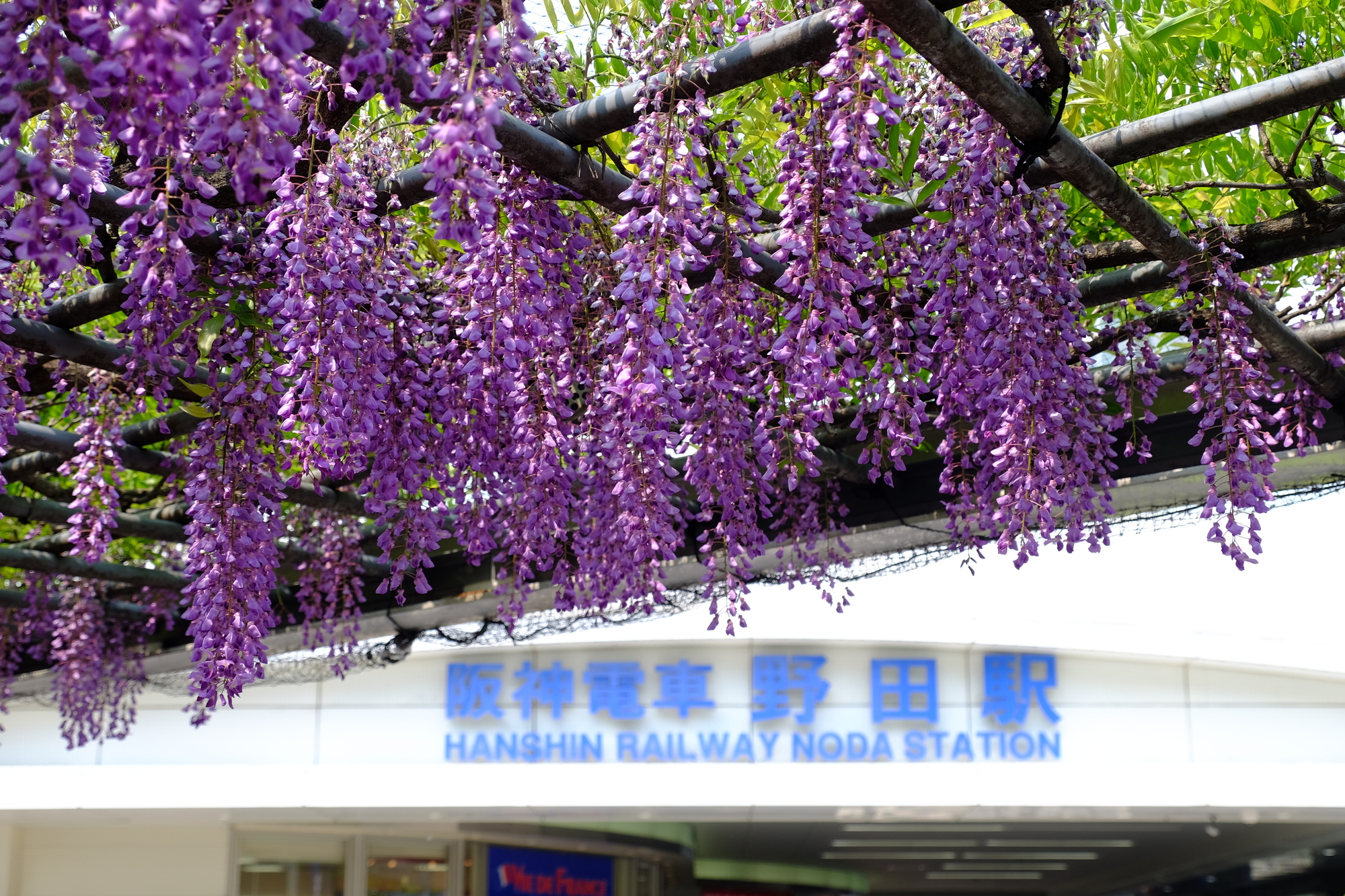 野田駅