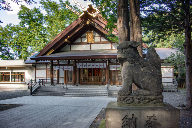 新琴似駅