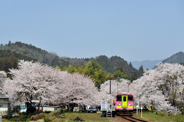 谷汲口駅